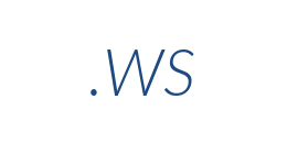 Информация о домене ws