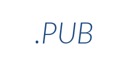 Информация о домене pub