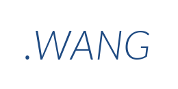 Информация о домене wang