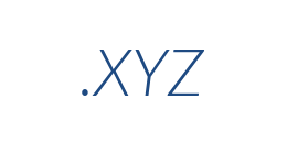 Information on the domain xyz