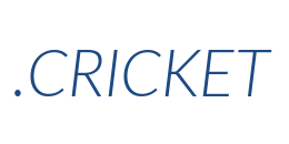 Information on the domain cricket