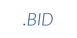 Информация о домене bid