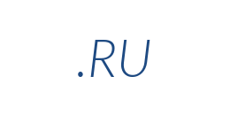 Information on the domain ru