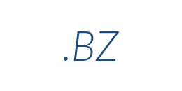 Information on the domain bz