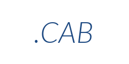 Інформація про домен cab