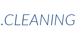 Информация о домене cleaning