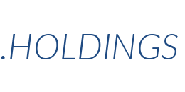 Інформація про домен holdings