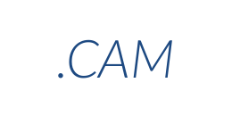 Інформація про домен cam