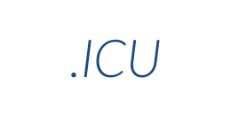 Информация о домене icu