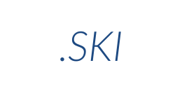 Інформація про домен ski
