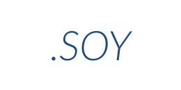 Information on the domain soy