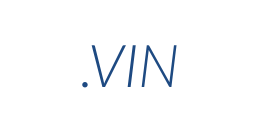 Information on the domain vin