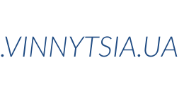 Інформація про домен vinnytsia.ua