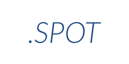 Информация о домене spot