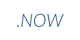 Информация о домене now