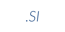 Информация о домене si